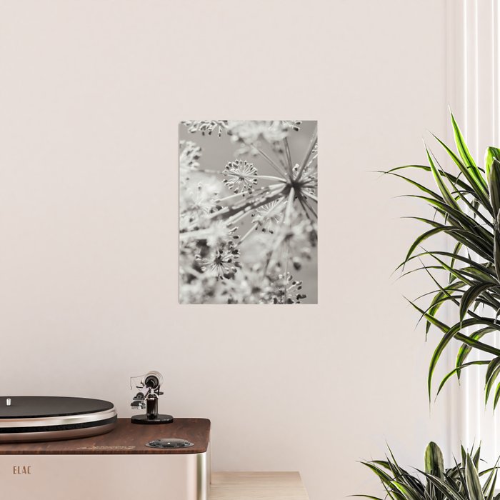 botanical abstract photograph no. 4 Poster Gallery Image 2