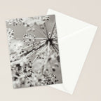 botanical abstract photograph no. 4 Stationery Card Gallery Image 2