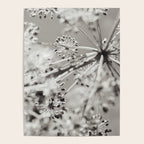 botanical abstract photograph no. 4 Poster Gallery Image 4