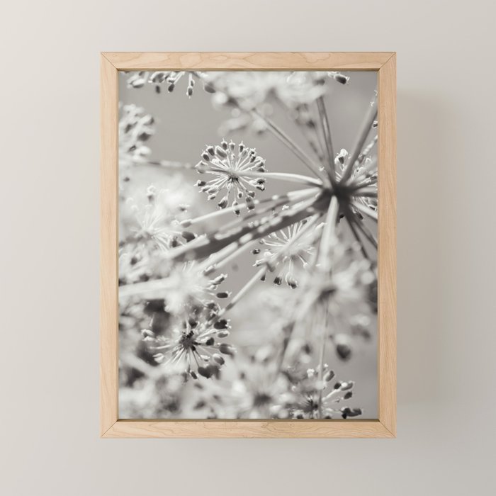 botanical abstract photograph no. 4 Mini Art Print Gallery Image 1