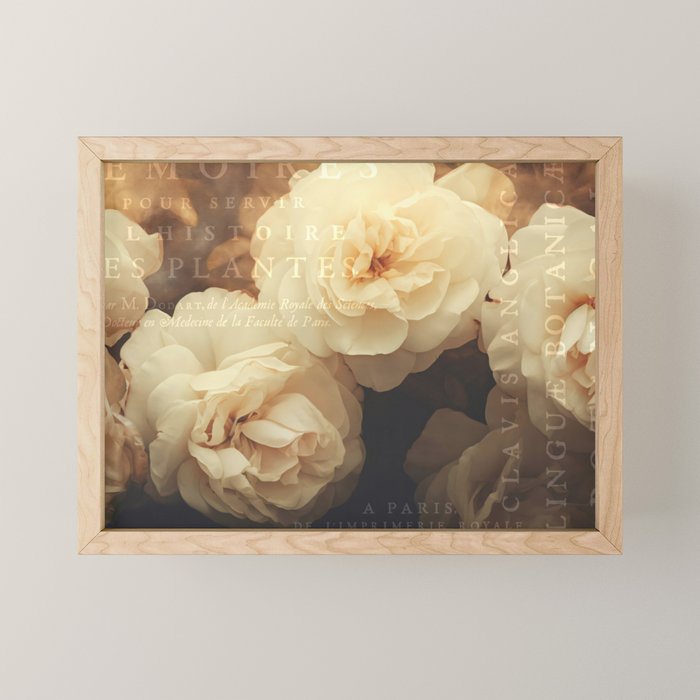 Floral Luxury In Twilight Sepia Peach Mini Art Print Gallery Image 1