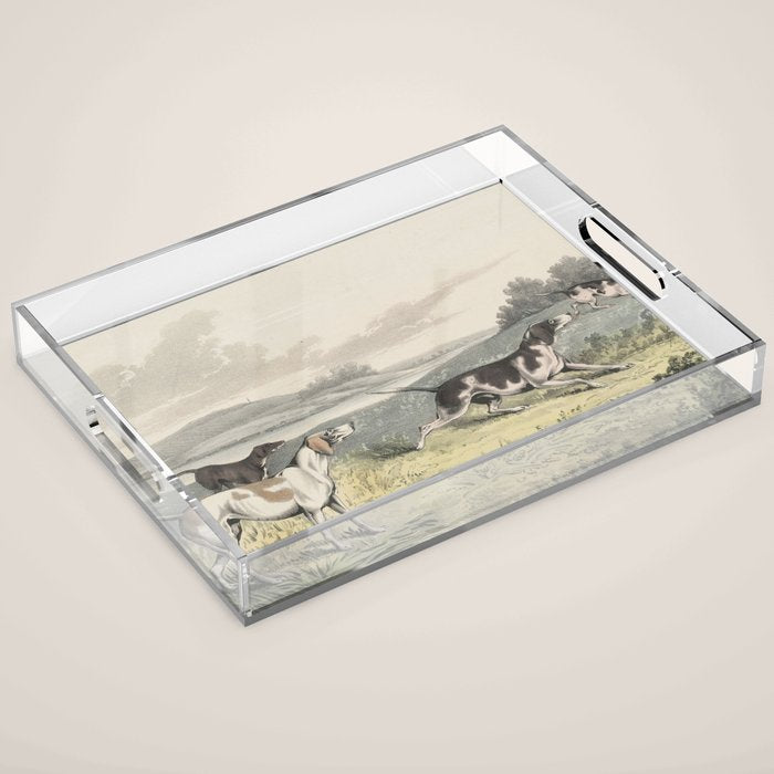 Vintage Illustration of Pointer Dogs (1846) Acrylic Tray Gallery Image 1
