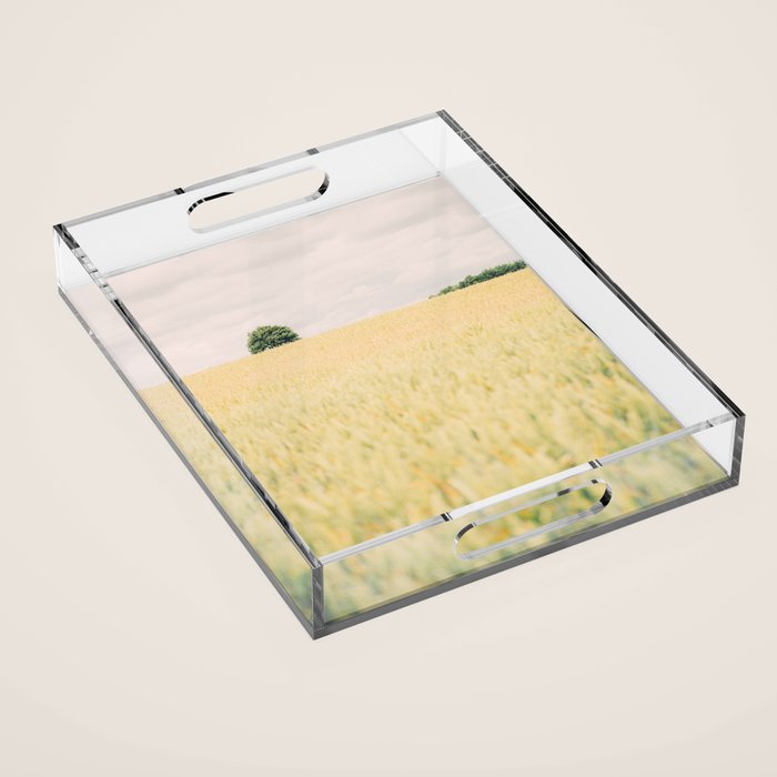 Rural Countryside Field Landscape With Tree Acrylic Tray Gallery Image 1