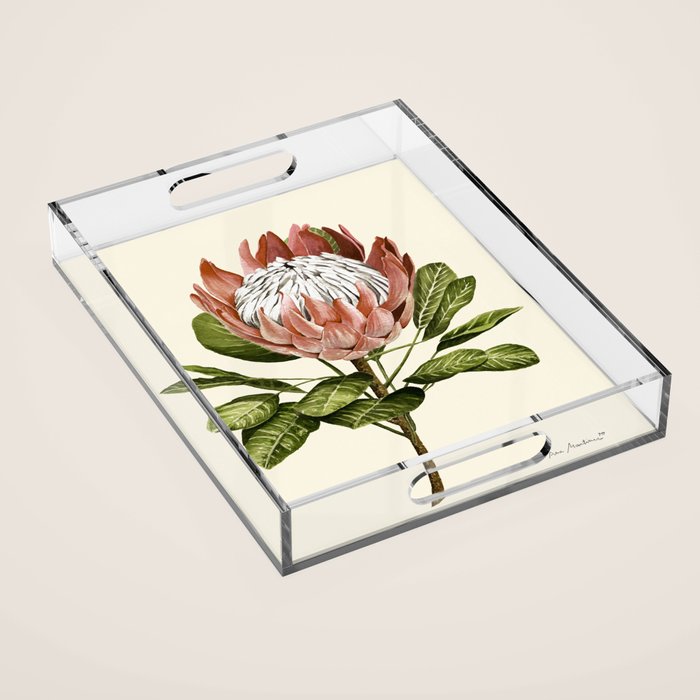protea plant #watercolor Acrylic Tray Gallery Image 1