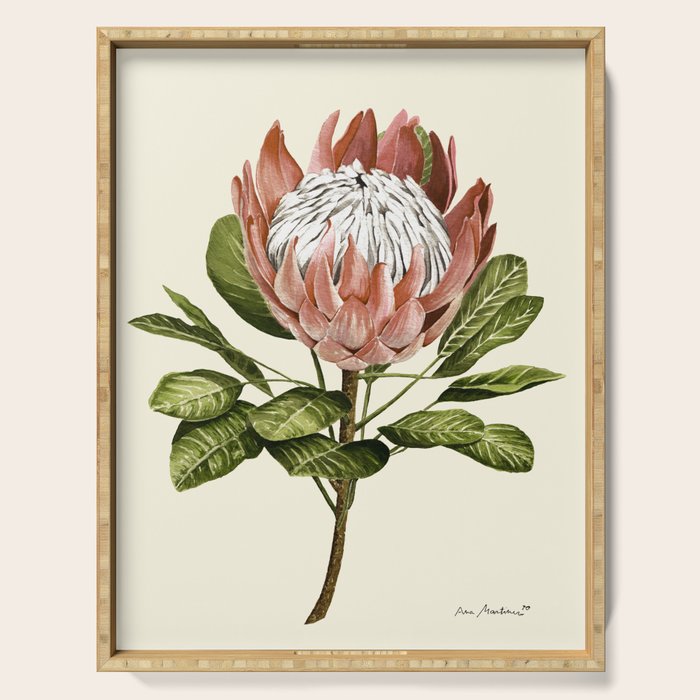 protea plant #watercolor Serving Tray Gallery Image 1