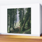 To The Falls Wall Mural Gallery Image 2