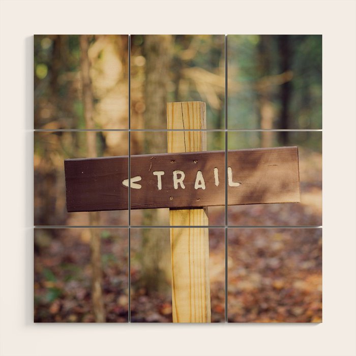 Let's Go Wood Wall Art Gallery Image 1