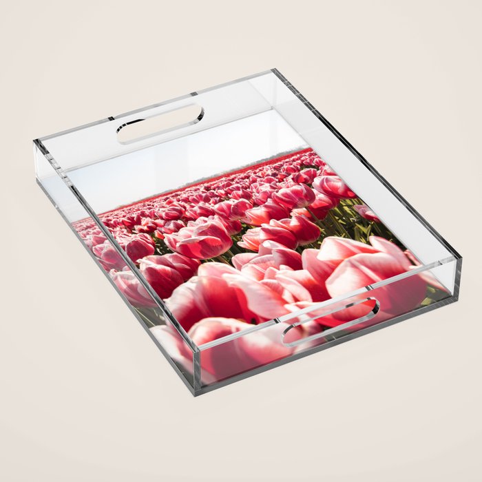 Tulip Field In Holland Floral Photo | Europe Travel Photography Red Flowers Spring Art Print Acrylic Tray Gallery Image 1