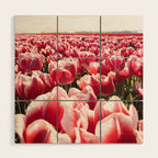 Tulip Field In Holland Floral Photo | Europe Travel Photography Red Flowers Spring Art Print Wood Wall Art Gallery Image 1