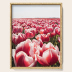 Tulip Field In Holland Floral Photo | Europe Travel Photography Red Flowers Spring Art Print Serving Tray Gallery Image 1