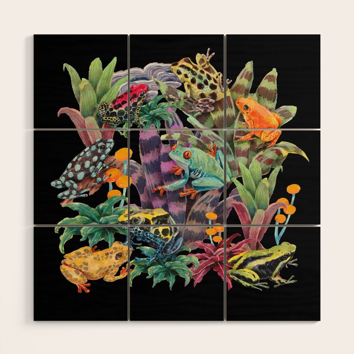 Tropical frogs and plant - black Wood Wall Art Gallery Image 1