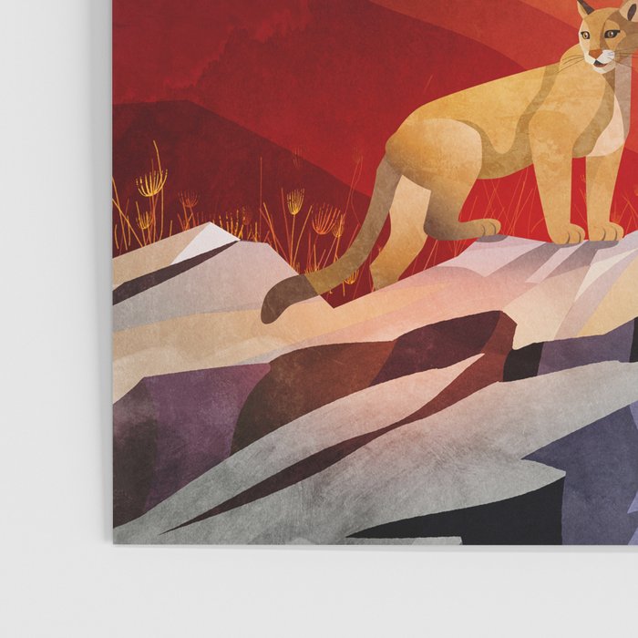 Mountain lion standing on a rock Poster Gallery Image 3