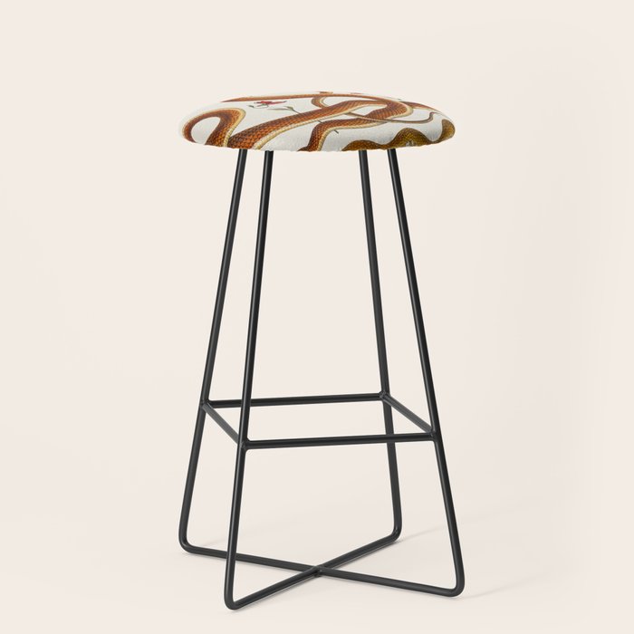 Albertus Seba Snakes Flowers Engraving ii Stool Gallery Image 1