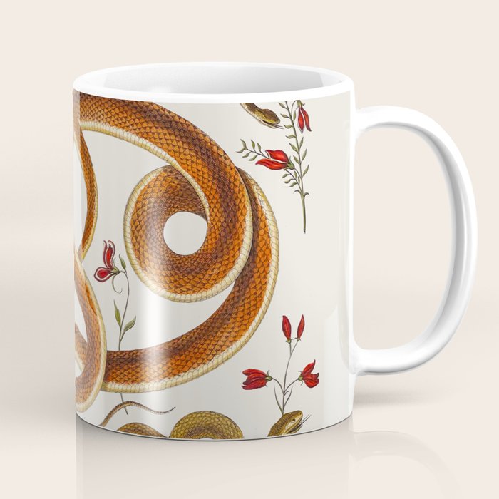 Albertus Seba Snakes Flowers Engraving ii Coffee Mug Gallery Image 1