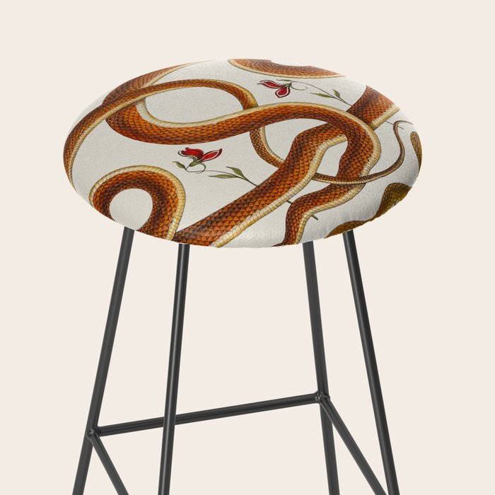 Albertus Seba Snakes Flowers Engraving ii Stool Gallery Image 2