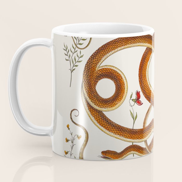 Albertus Seba Snakes Flowers Engraving ii Coffee Mug Gallery Image 3