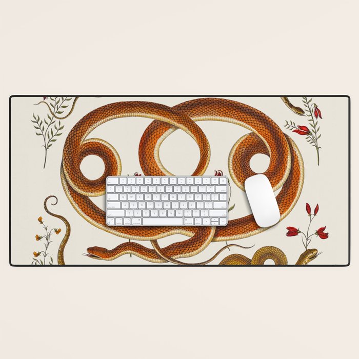 Albertus Seba Snakes Flowers Engraving ii Desk Mat Gallery Image 1