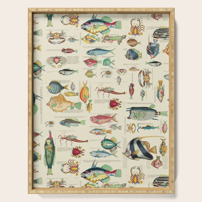 Multicolor  Vintage Fish And Sea Life Illustration Serving Tray Gallery Image 1