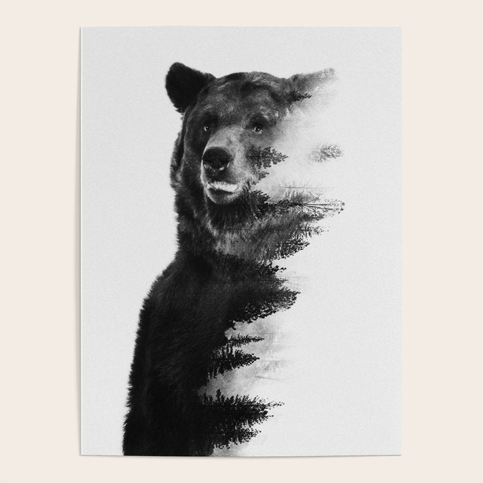 Observing Bear Poster Gallery Image 1