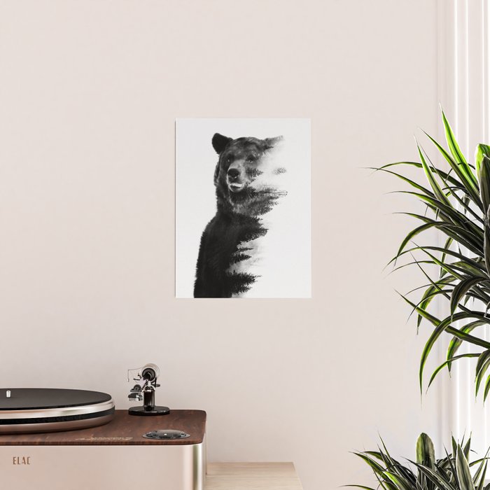 Observing Bear Poster Gallery Image 2