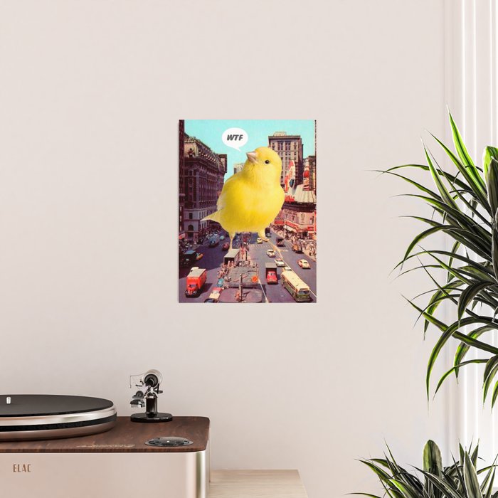 Canary in the City Poster Gallery Image 2
