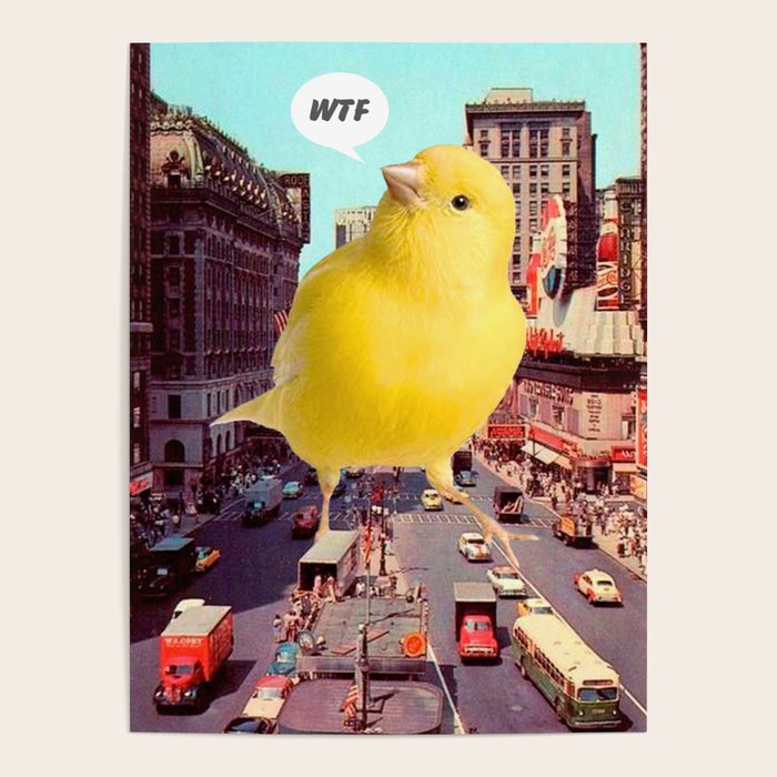 Canary in the City Poster Gallery Image 4