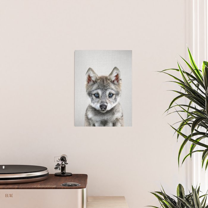 Baby Wolf - Colorful Poster Gallery Image 2