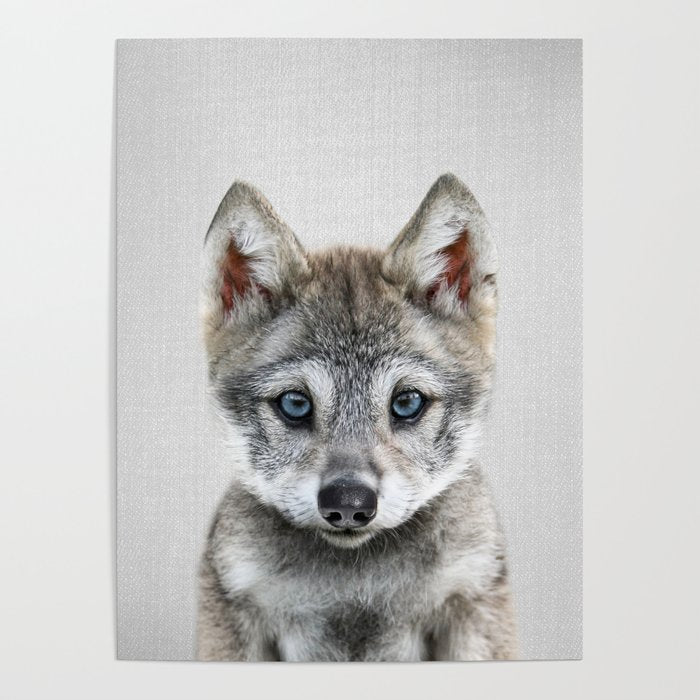 Baby Wolf - Colorful Poster Gallery Image 1