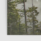 Morning sunshine over the clear mountain blue lake Poster Gallery Image 3