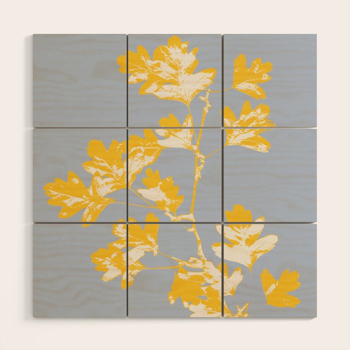 Plant based happyness Hawthorn still life Wood Wall Art Gallery Image 1