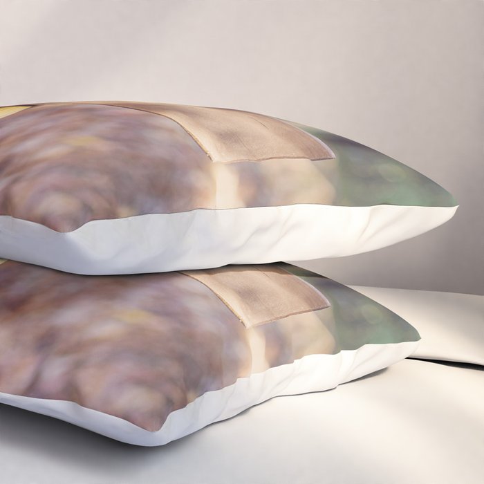 Let's Go Pillow Sham Gallery Image 3
