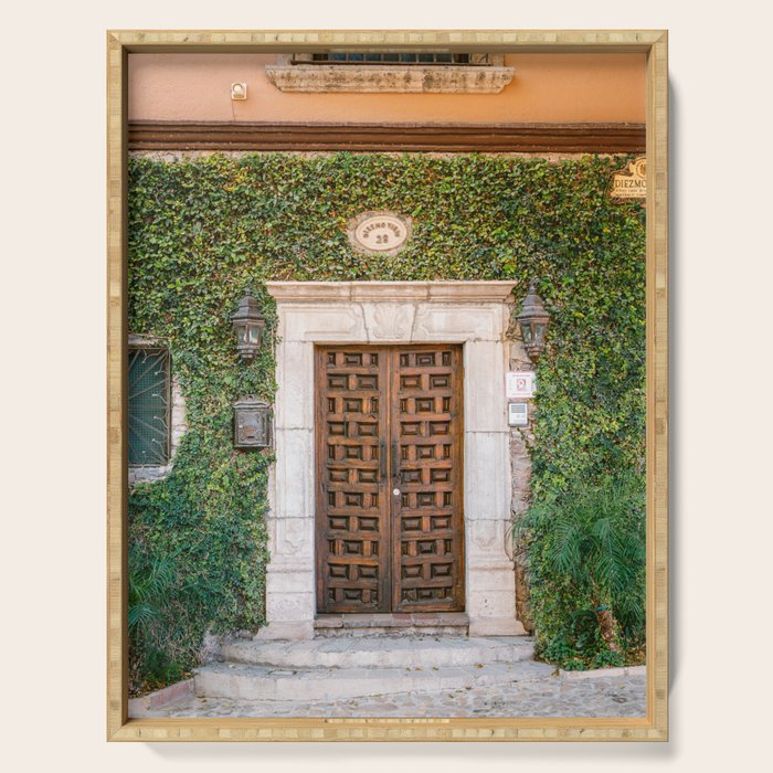 Mexico | The botanical door San Miguel de Allende Serving Tray Gallery Image 1