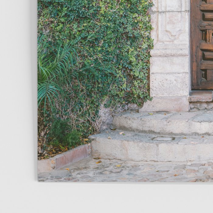 Mexico | The botanical door San Miguel de Allende Poster Gallery Image 3