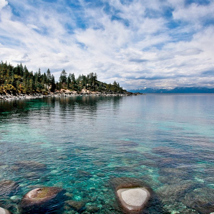 Tranquility Lake Tahoe Coffee Mug Gallery Image 2