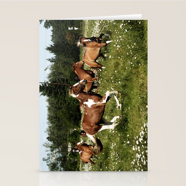 Spring Horse Run Stationery Card Gallery Image 2