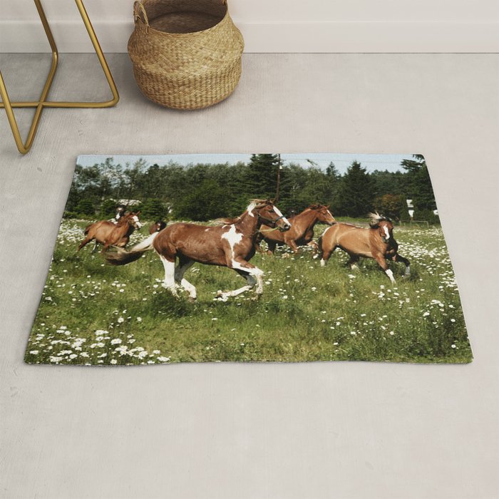 Spring Horse Run Rug Gallery Image 1