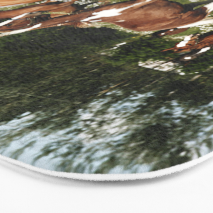 Spring Horse Run Bath Mat Gallery Image 3