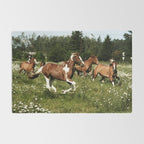 Spring Horse Run Rug Gallery Image 2