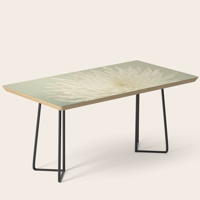 Pale Beauty Coffee Table Gallery Image 1