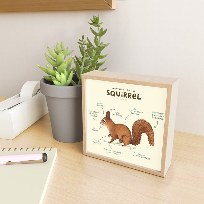 Anatomy of a Squirrel Mini Art Print Gallery Image 2