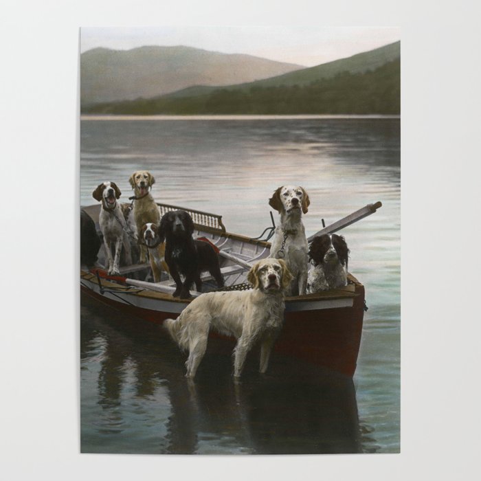 Dogs on a boat II color canine photograph portrait - photographs - photography Poster Gallery Image 4