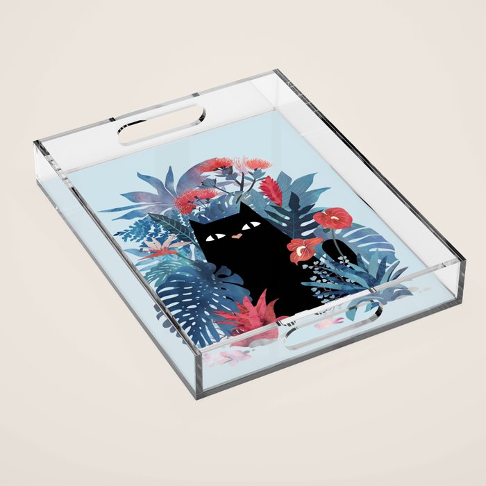 Popoki in Blue Acrylic Tray Gallery Image 1