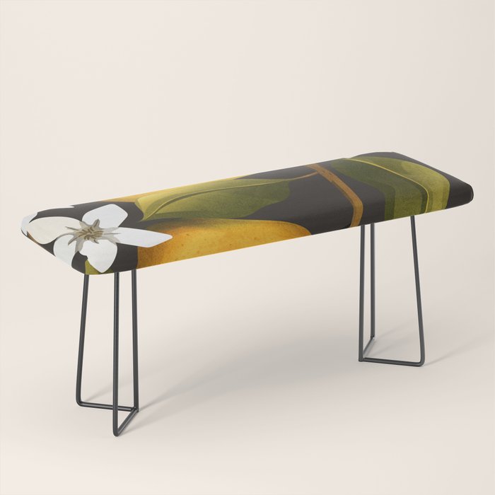 Pears Botanical Art 1 Bench Gallery Image 1