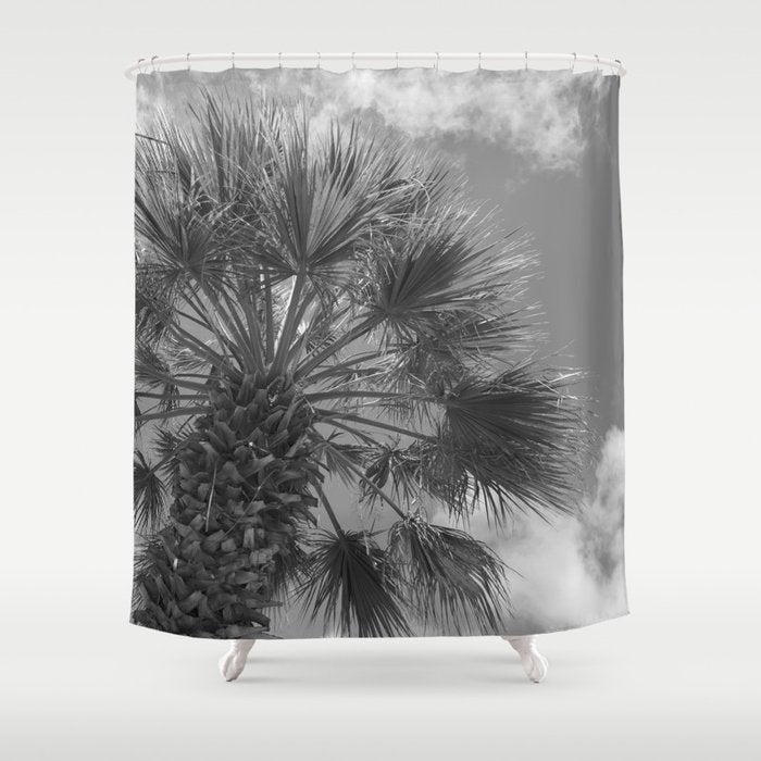 Black and white palm tree in Spain - summer nature and travel photography.  Shower Curtain Gallery Image 1