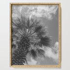 Black and white palm tree in Spain - summer nature and travel photography.  Serving Tray Gallery Image 1