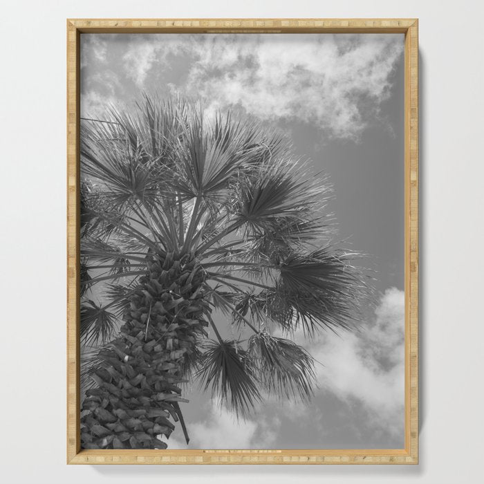 Black and white palm tree in Spain - summer nature and travel photography.  Serving Tray Gallery Image 1