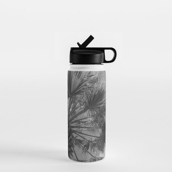 Black and white palm tree in Spain - summer nature and travel photography.  Water Bottle Gallery Image 1