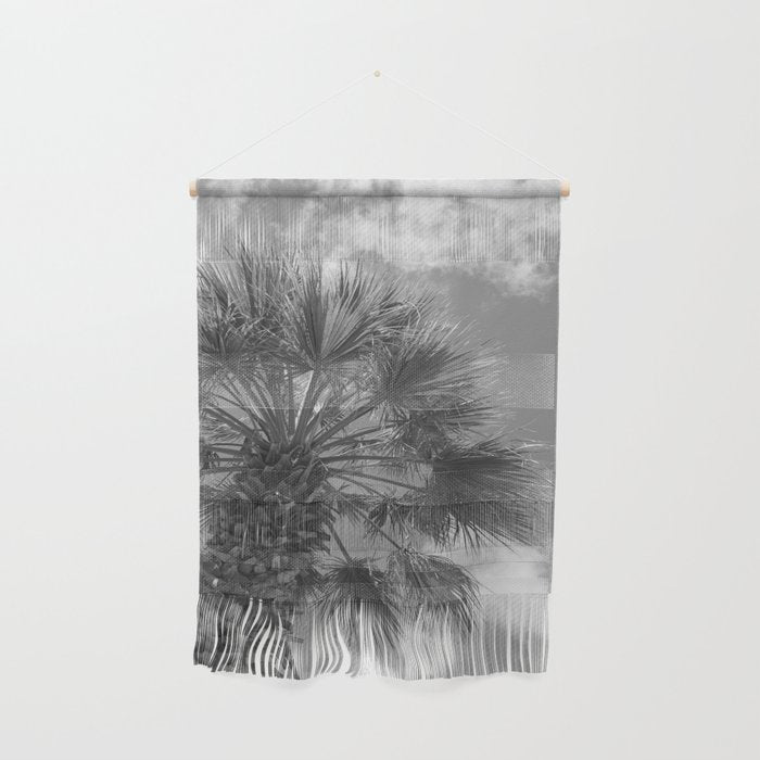 Black and white palm tree in Spain - summer nature and travel photography.  Wall Hanging Gallery Image 1