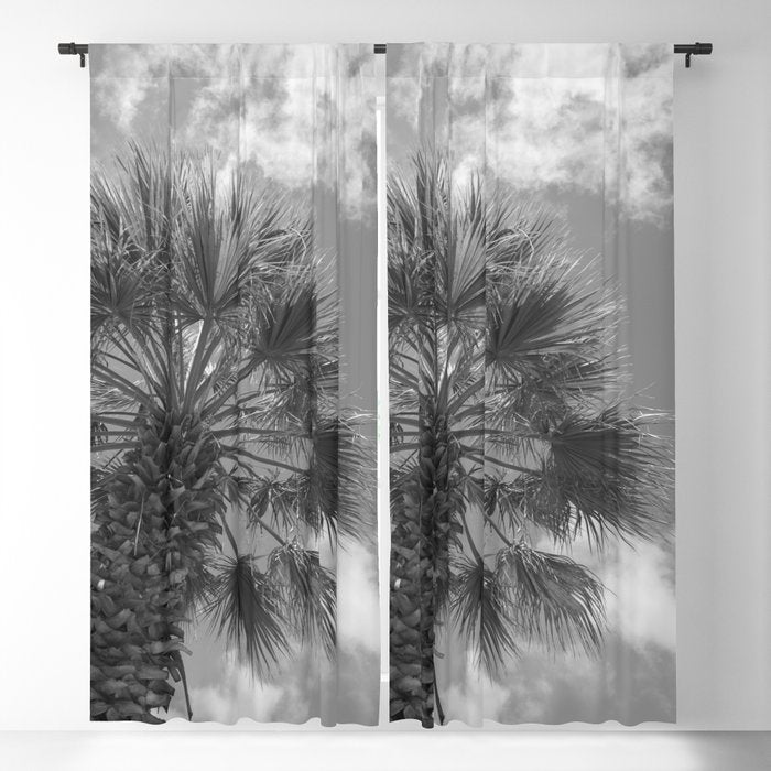 Black and white palm tree in Spain - summer nature and travel photography.  Window Curtain Gallery Image 1