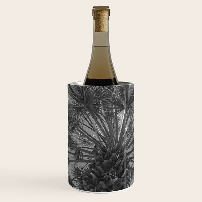 Black and white palm tree in Spain - summer nature and travel photography.  Wine Chiller Gallery Image 2